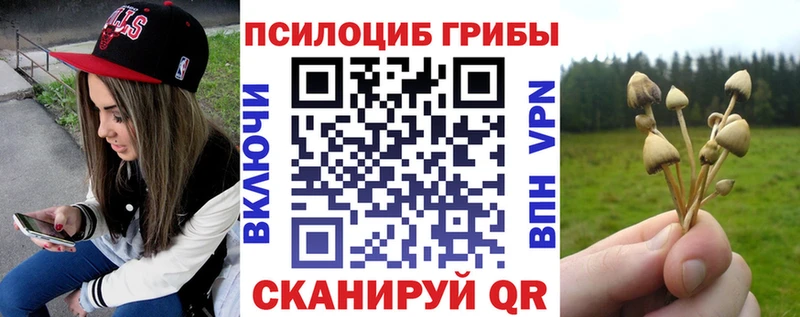Псилоцибиновые грибы мухоморы  дарнет шоп  Белогорск 
