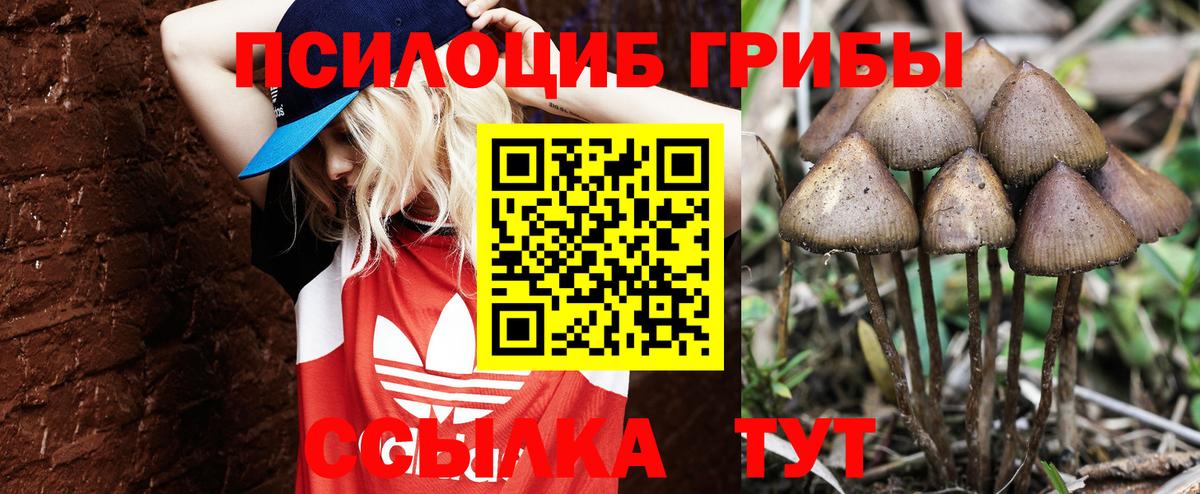 Галлюциногенные грибы Cubensis Белогорск