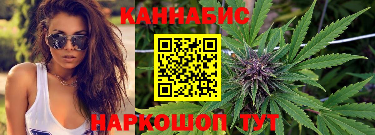 Бошки марихуана план  Вход с VPN  Белогорск  Канабис ГИДРОПОН  Конопля семена  Канабис OG Kush 